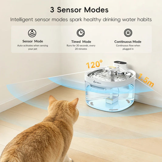 ZampaFlow™ – Fontanella Wireless