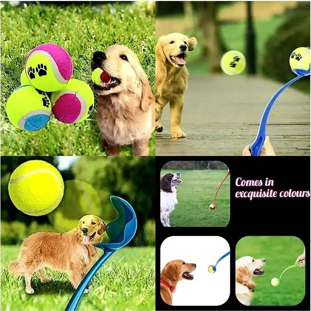 PallaGo™ – Lanciapalline per Cani