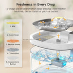 ZampaFlow™ – Fontanella Wireless